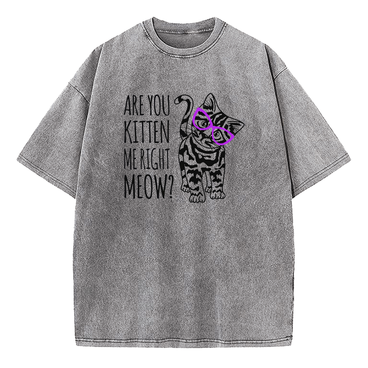 Are You Kitten Me Right Meow Washed T-Shirt
