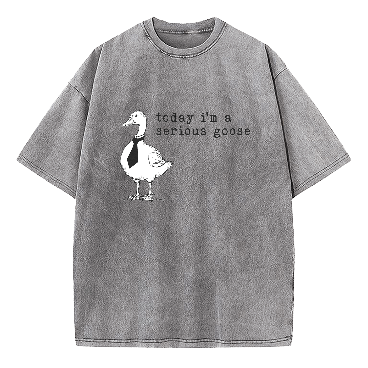 Today I'm A Serious Goose Washed T-Shirt