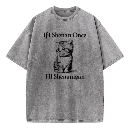  If I Shenan Once I'll Shenanigan Washed T-Shirt