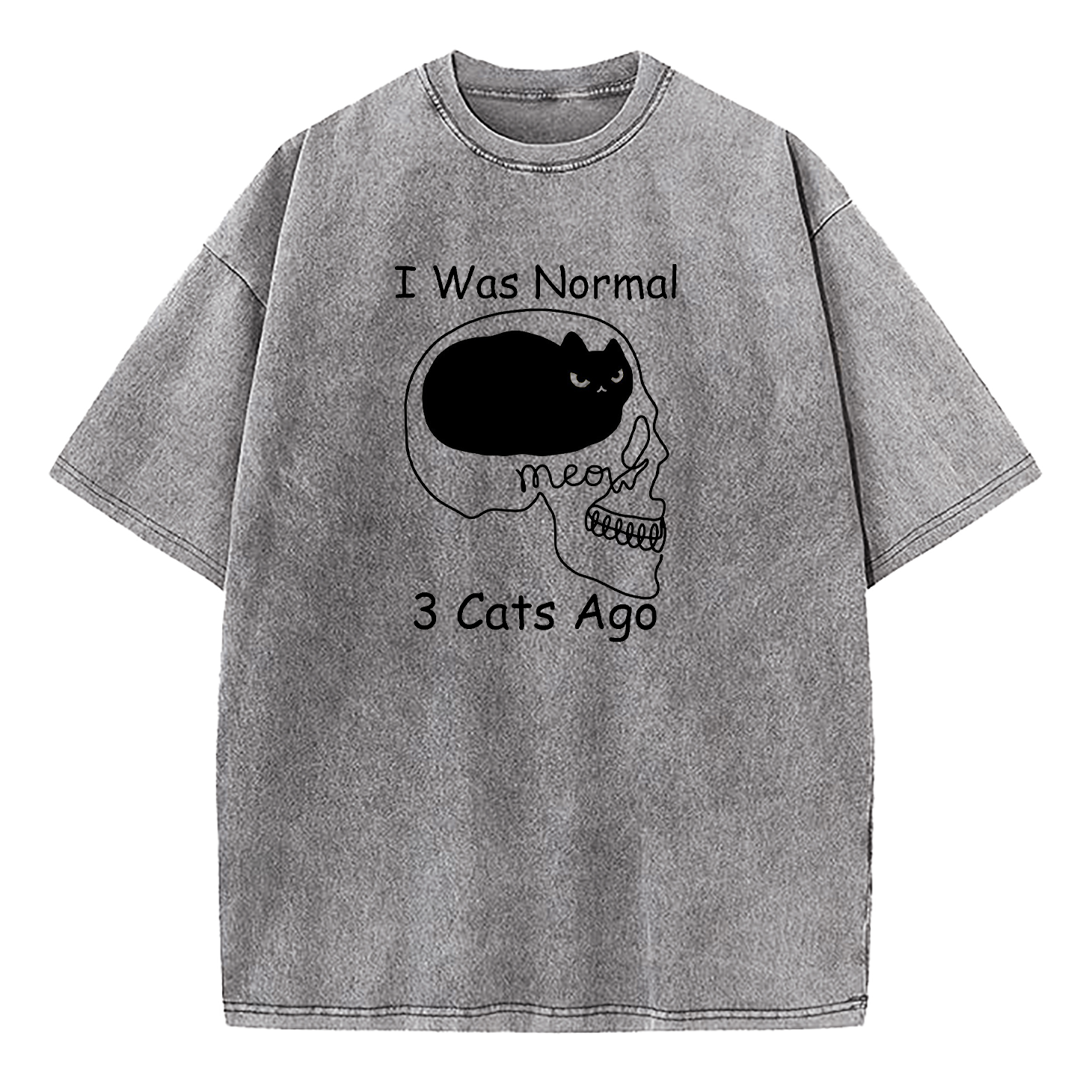 I Was Normal 3 Cats Ago Washed T-Shirt