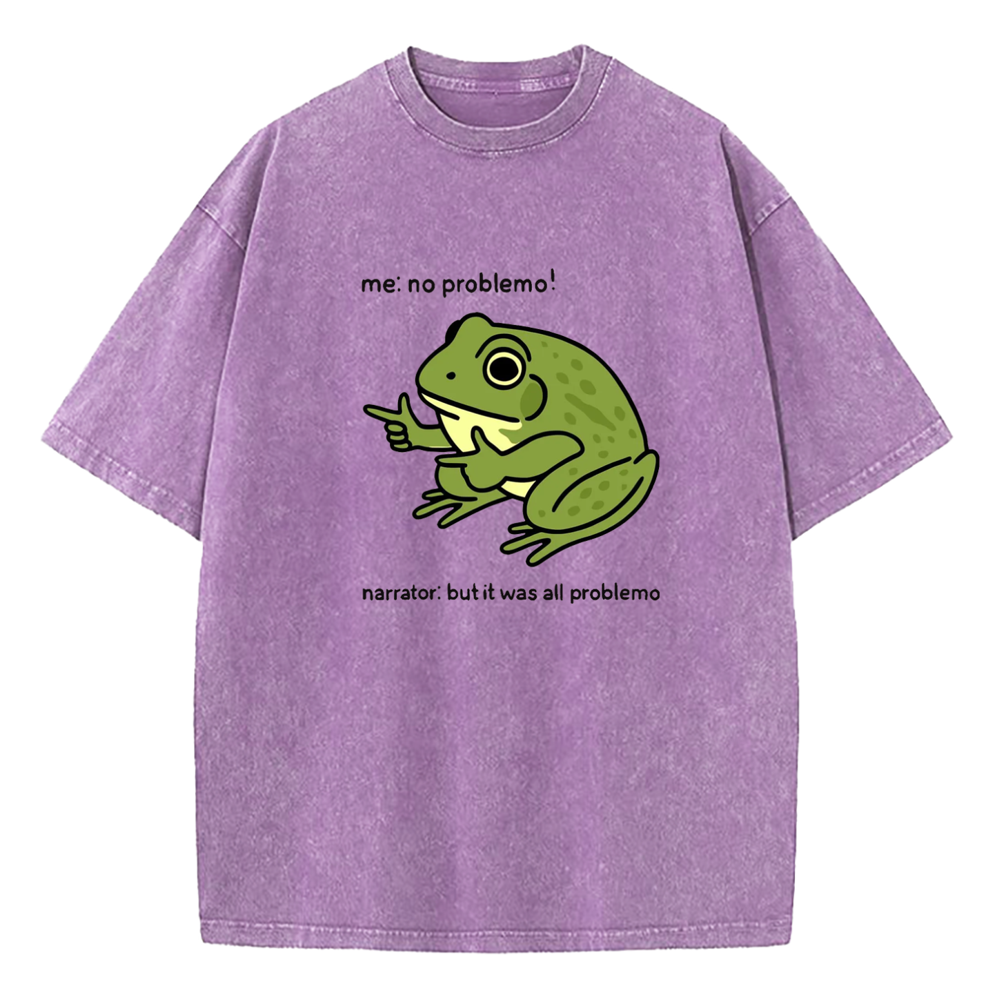 Funny Frog Me No Problemo Narrator Washed T-Shirt