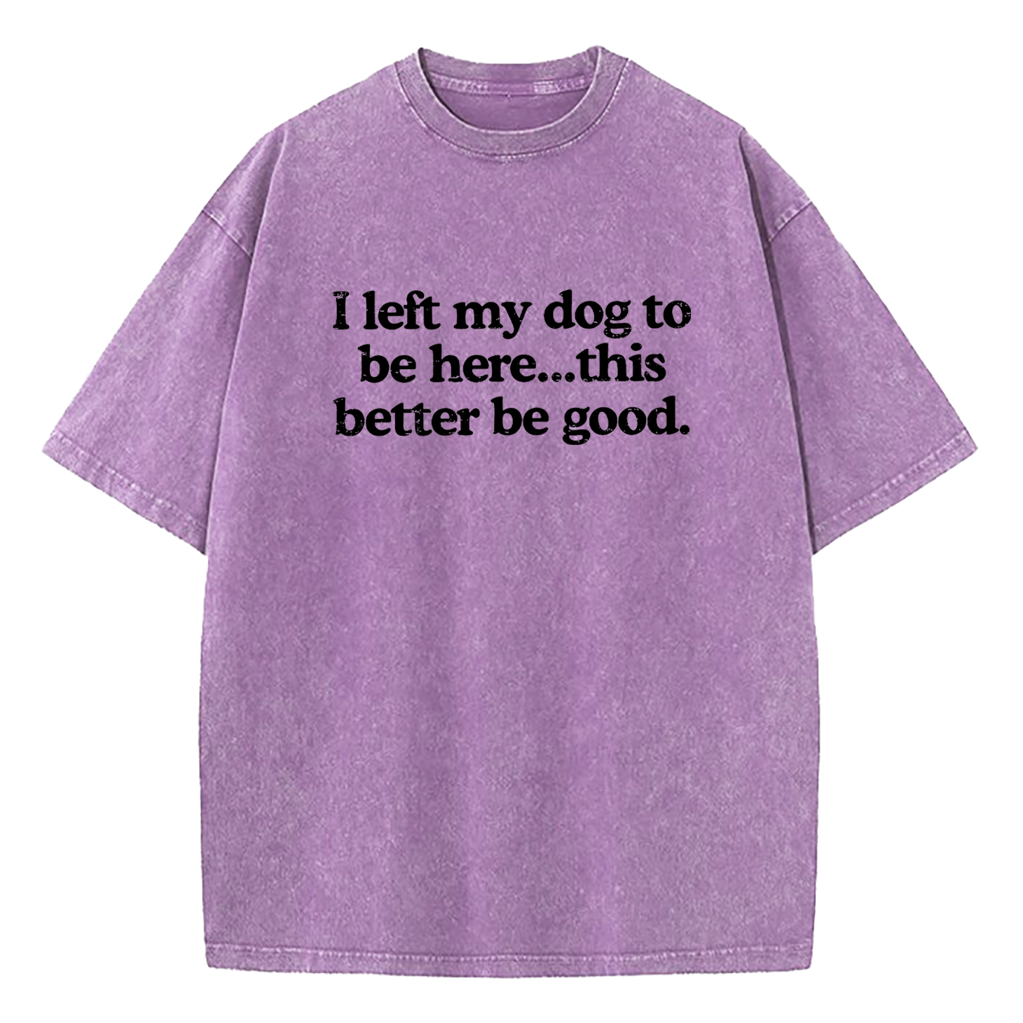 I Left My Dog To Be Here This Better Be Good Washed T-Shirt
