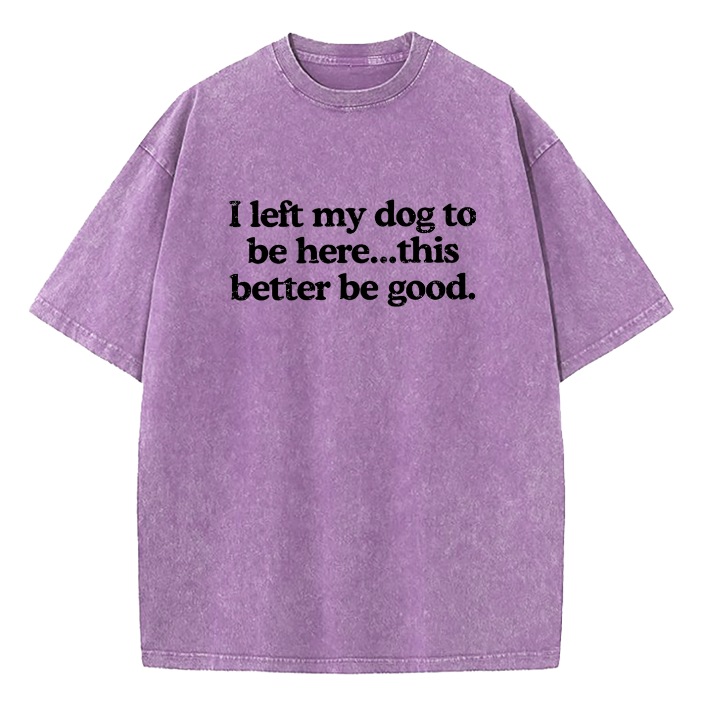 I Left My Dog To Be Here This Better Be Good Washed T-Shirt