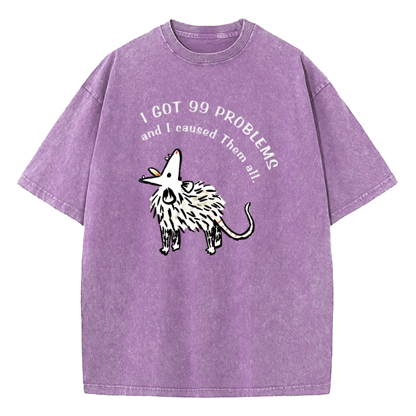 I Got 99 Problems And I Caused Them All Washed T-Shirt