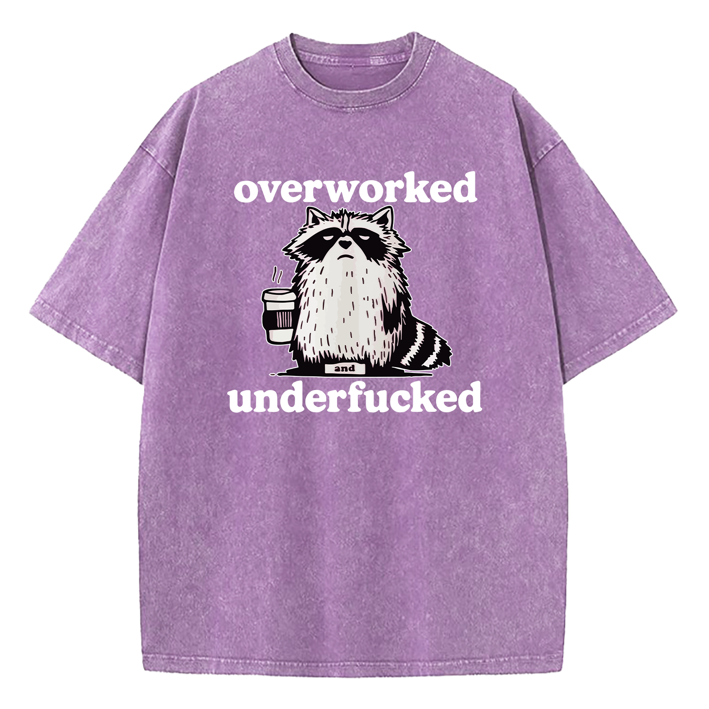Raccoon Overworked Underfucked Washed T-Shirt