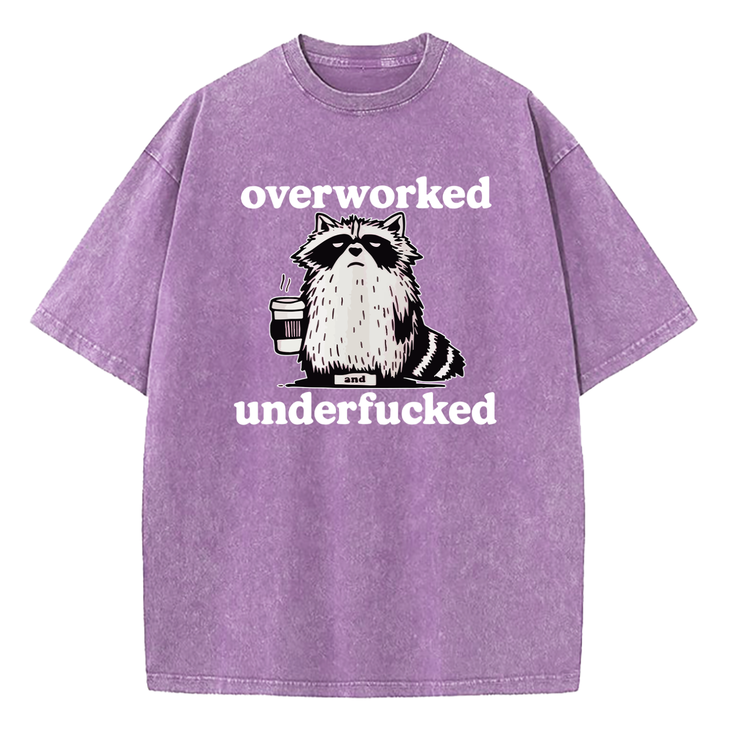 Raccoon Overworked Underfucked Washed T-Shirt