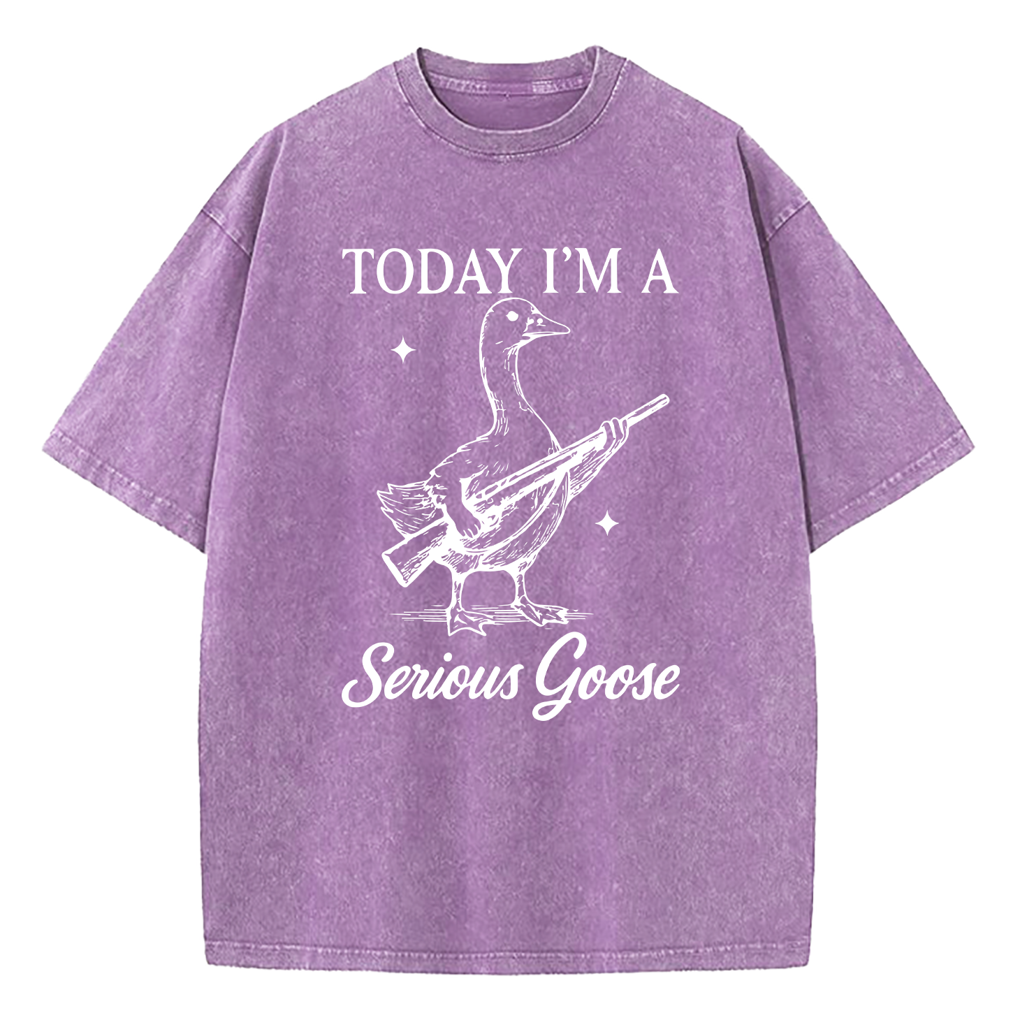 Today I'm A Serious Goose Washed T-Shirt