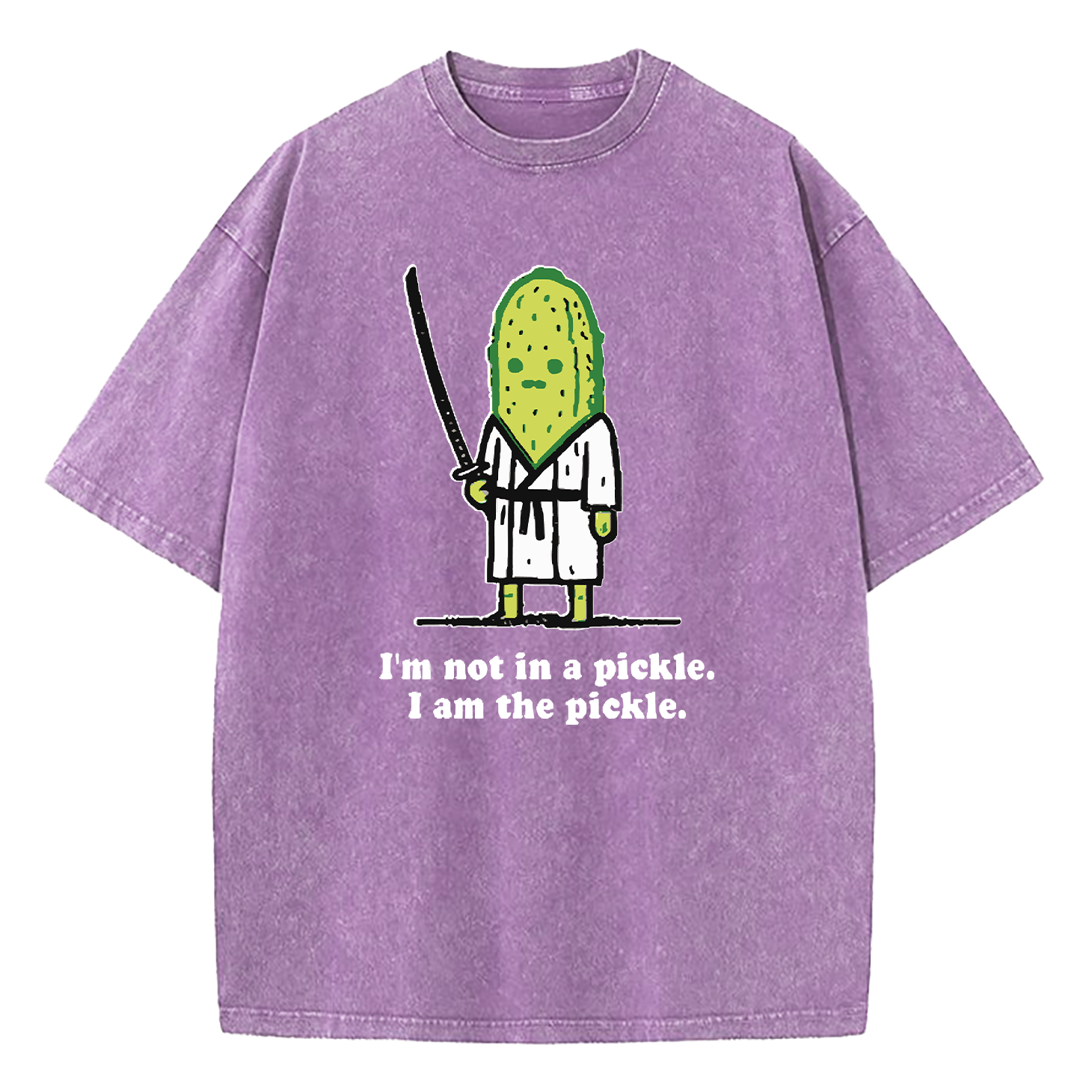 I’m Not In A Pickle I Am The Pickle Washed T-Shirt