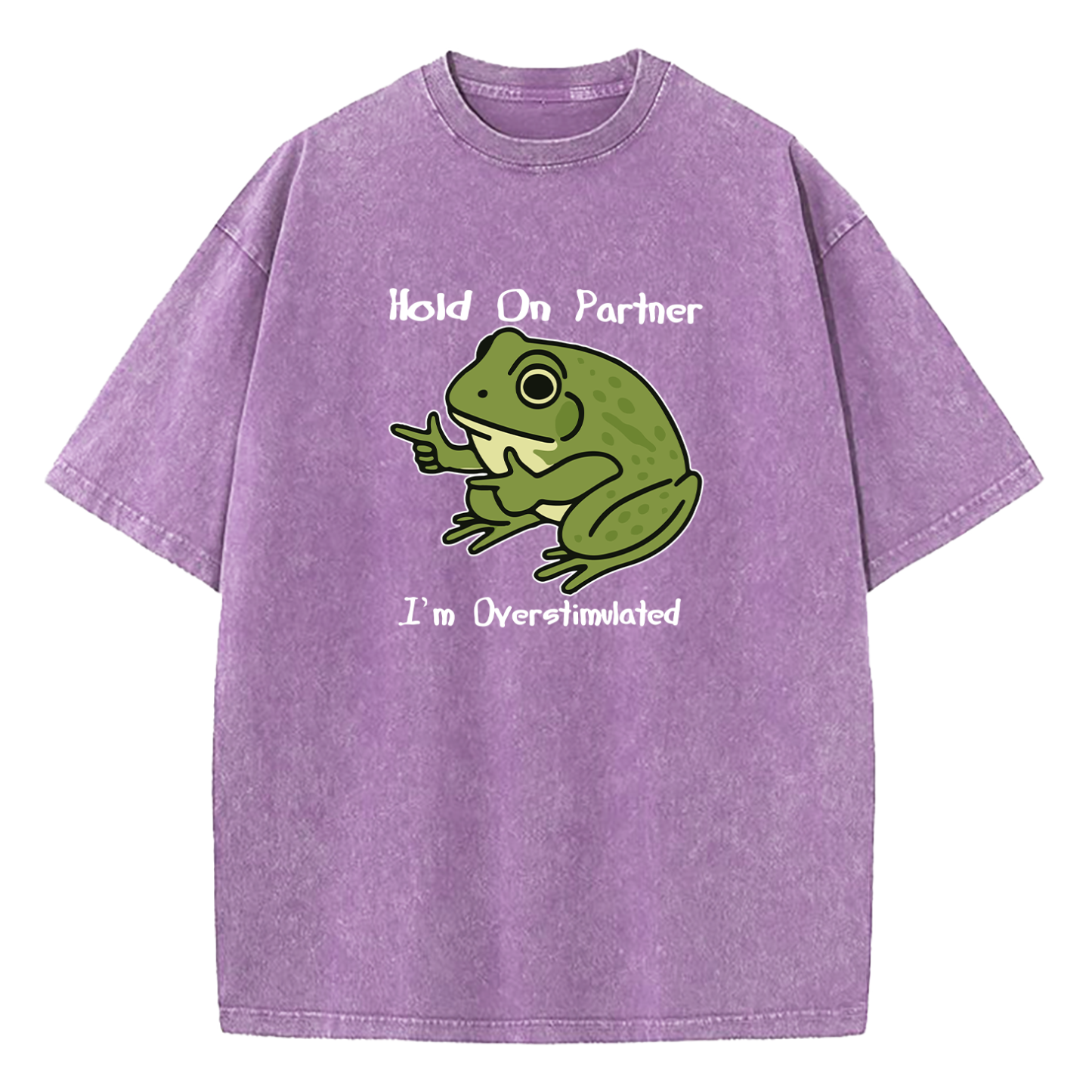 Hold On Partner I'm Overstimulated Washed T-Shirt
