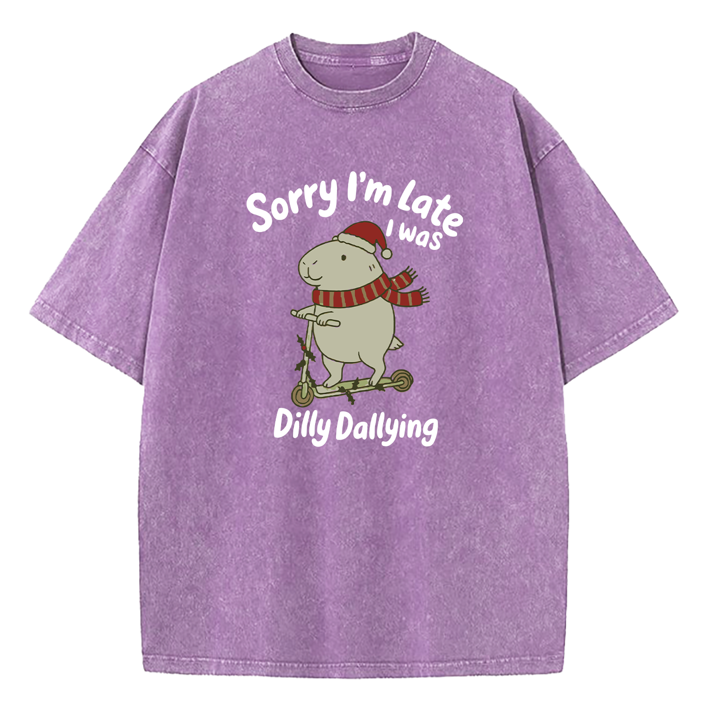 Sorry I'm Late I Was Dilly Dallying Washed T-Shirt