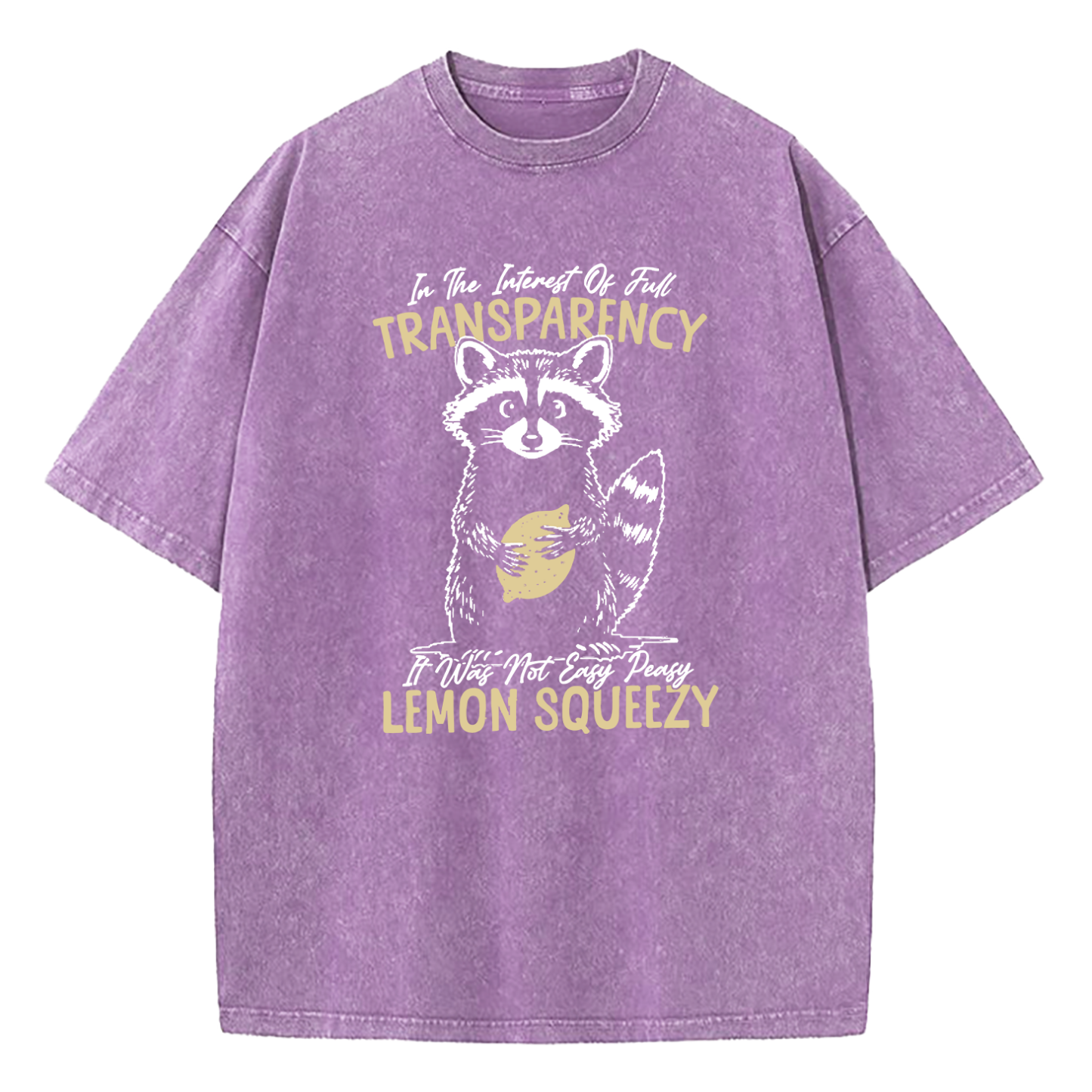 In The Interest of Full Transparency It was Not Easy Peasy Lemon Squeezy Washed T-Shirt