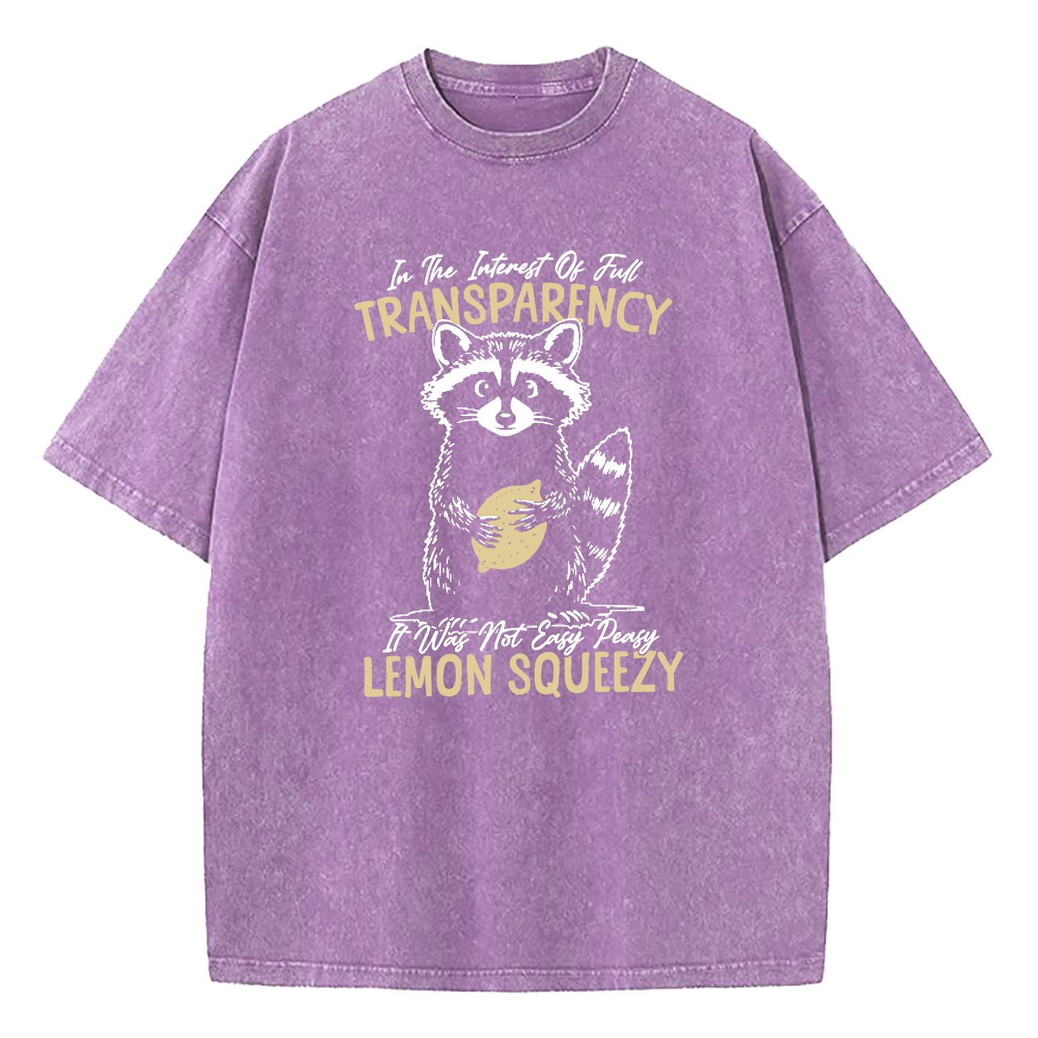 In The Interest of Full Transparency It was Not Easy Peasy Lemon Squeezy Washed T-Shirt