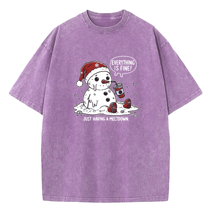 Everything Is Fine Just Having Meltdown Washed T-Shirt