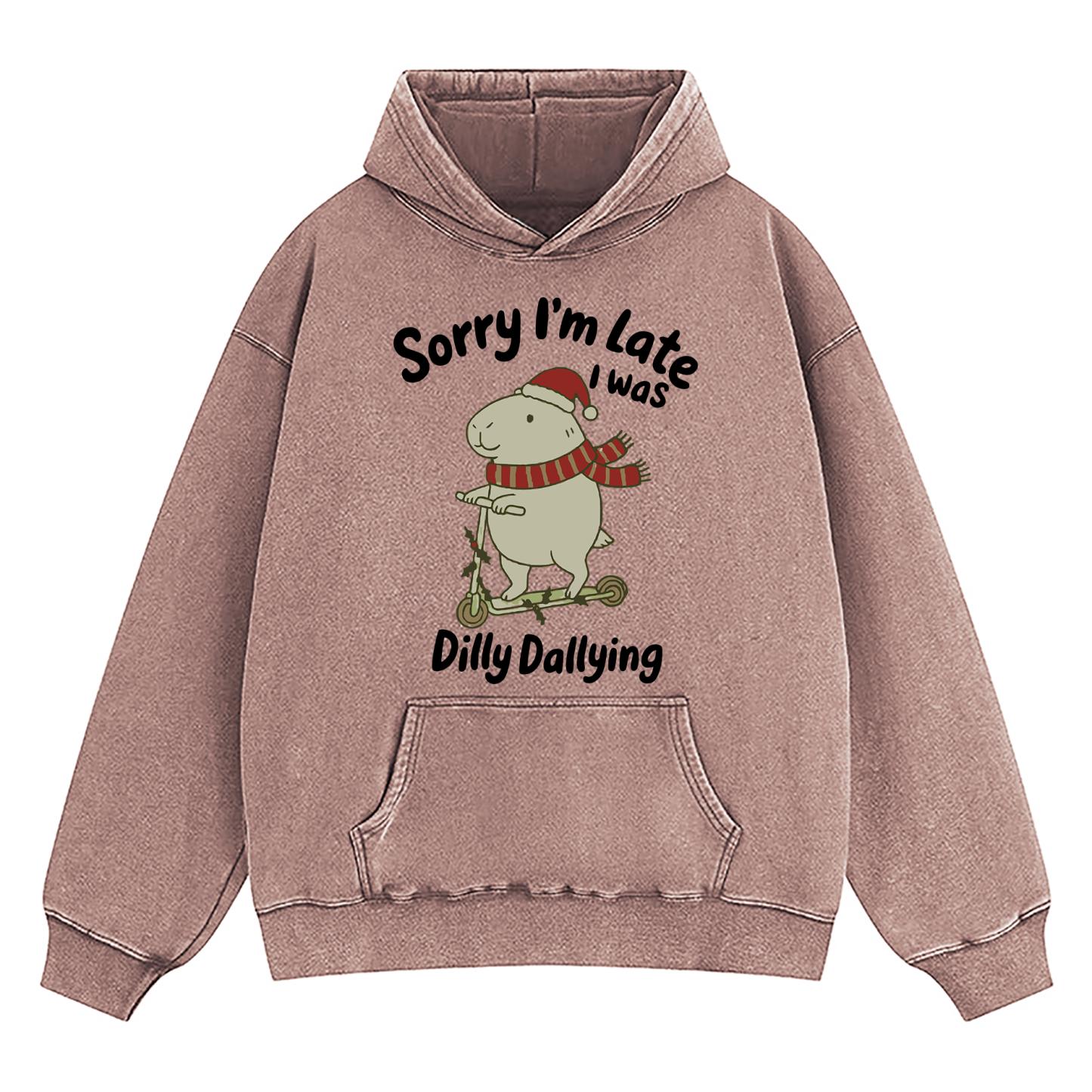 Sorry I'm Late I Was Dilly Dallying d Washed Hoodie