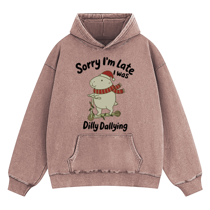 Sorry I'm Late I Was Dilly Dallying d Washed Hoodie