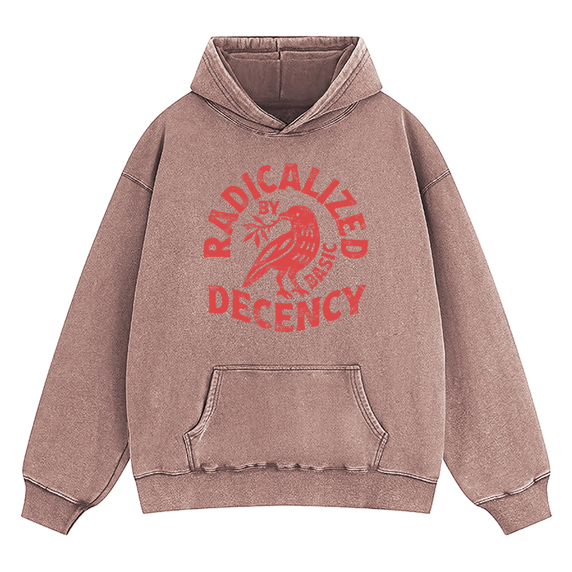 Radicalized By Basic Decency Washed Hoodie