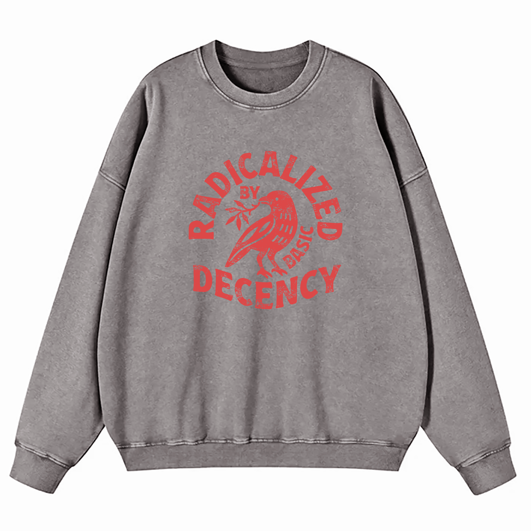 Radicalized By Basic Decency Washed Sweatshirt
