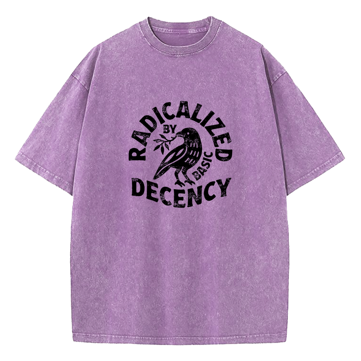 Radicalized By Basic Decency Washed T-Shirt