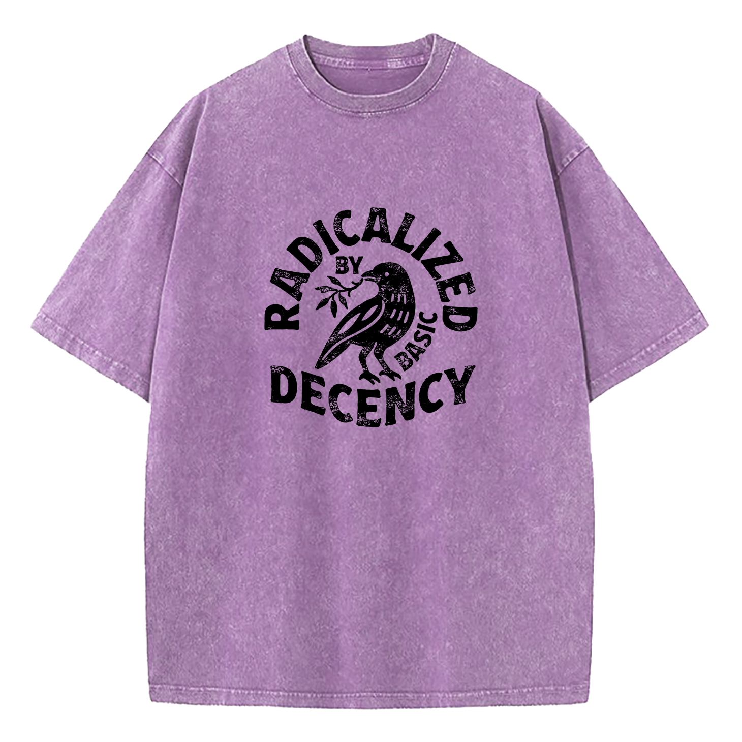 Radicalized By Basic Decency Washed T-Shirt