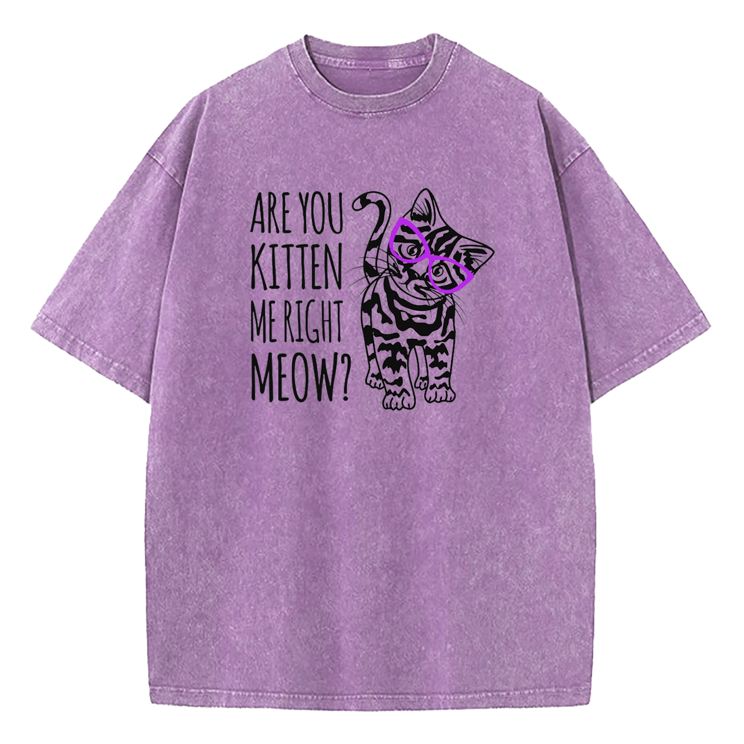 Are You Kitten Me Right Meow Washed T-Shirt