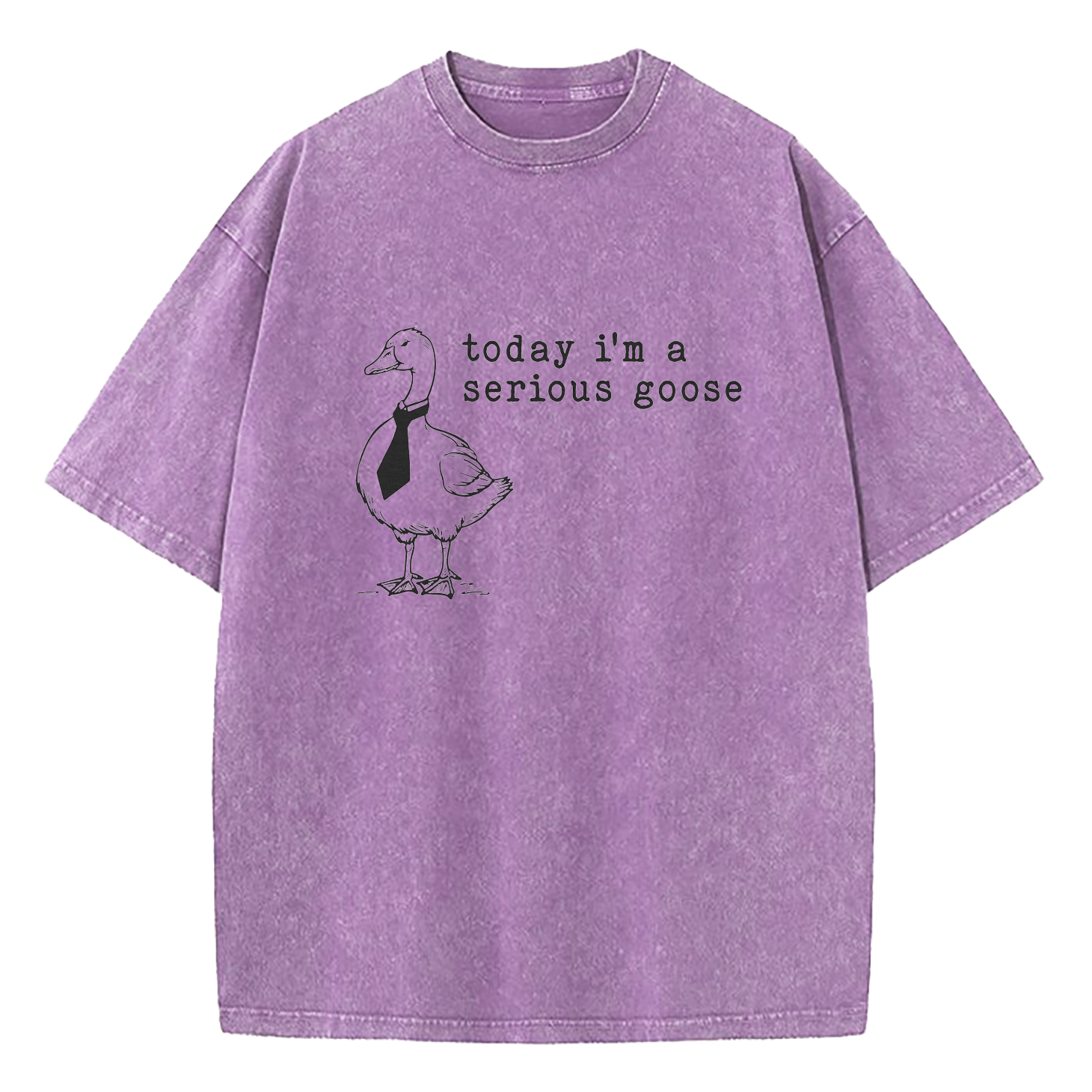 Today I'm A Serious Goose Washed T-Shirt