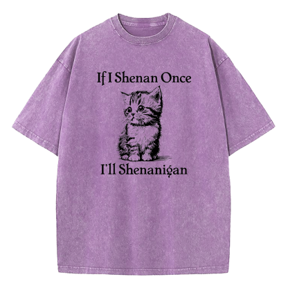  If I Shenan Once I'll Shenanigan Washed T-Shirt