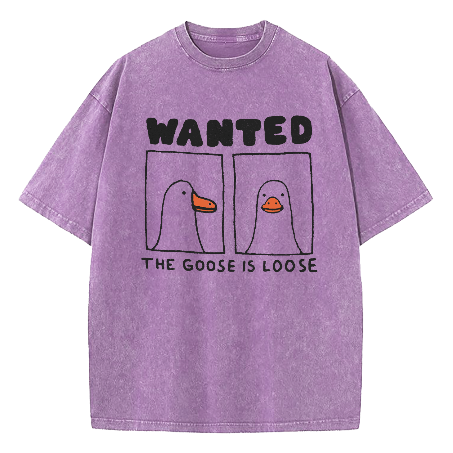 Goose Is Loose Washed T-Shirt