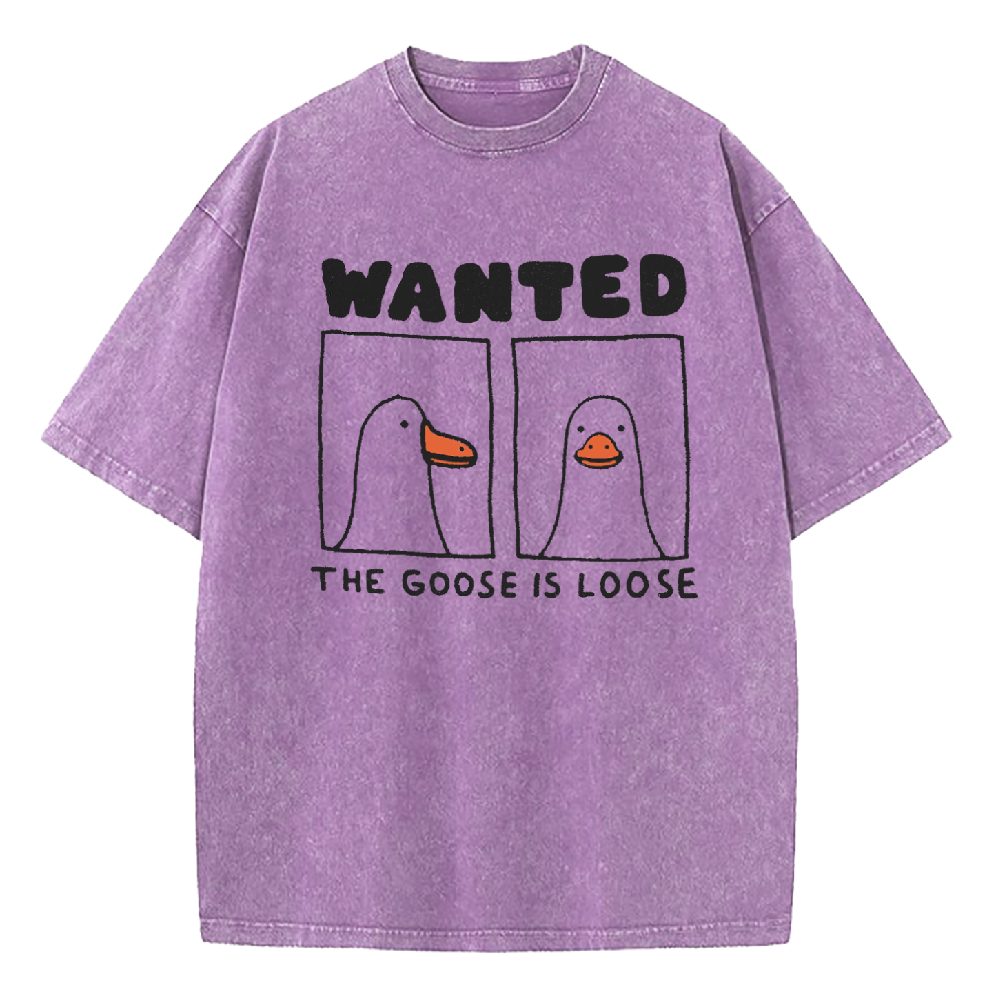 Goose Is Loose Washed T-Shirt