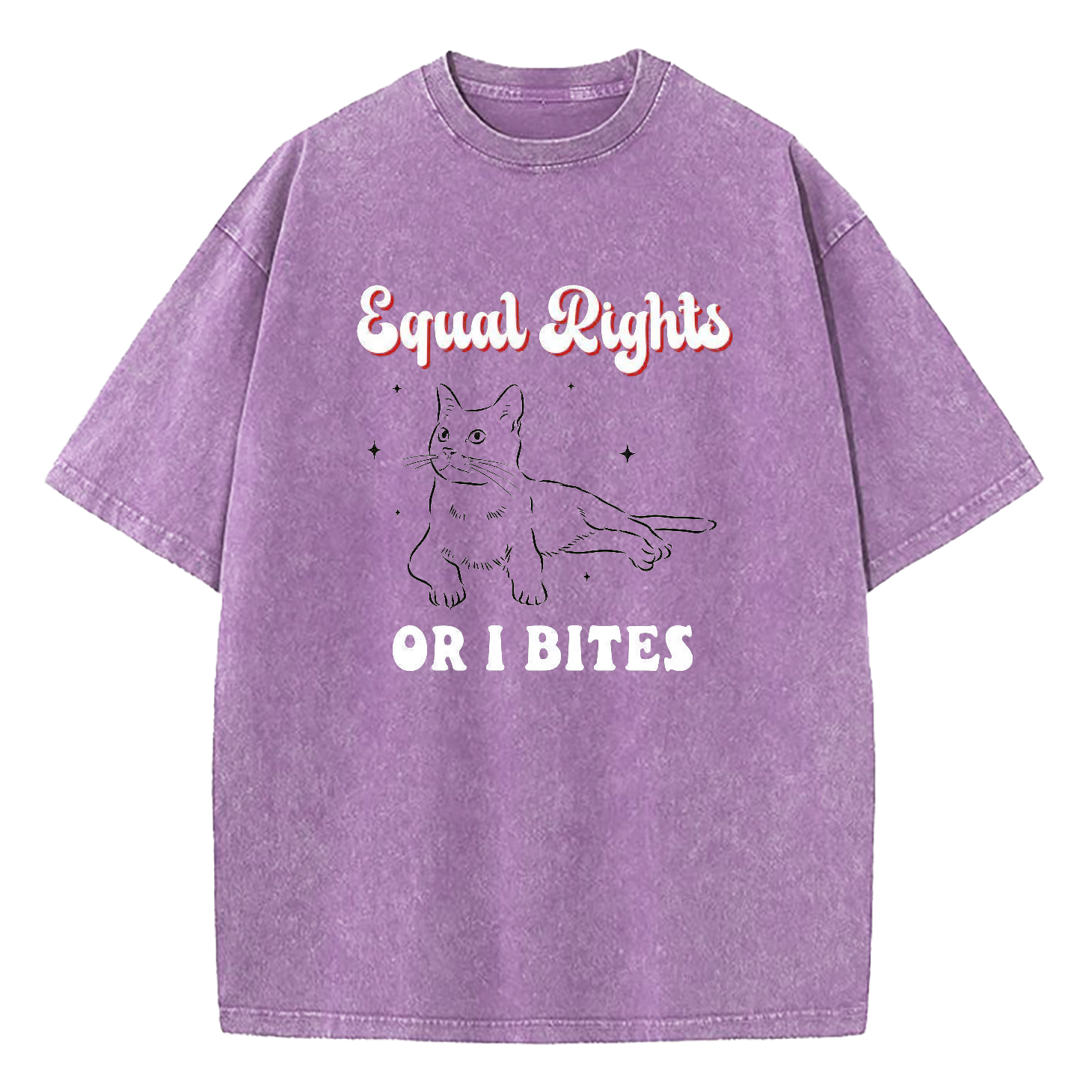 Equal Rights Or I Bites Washed T-Shirt