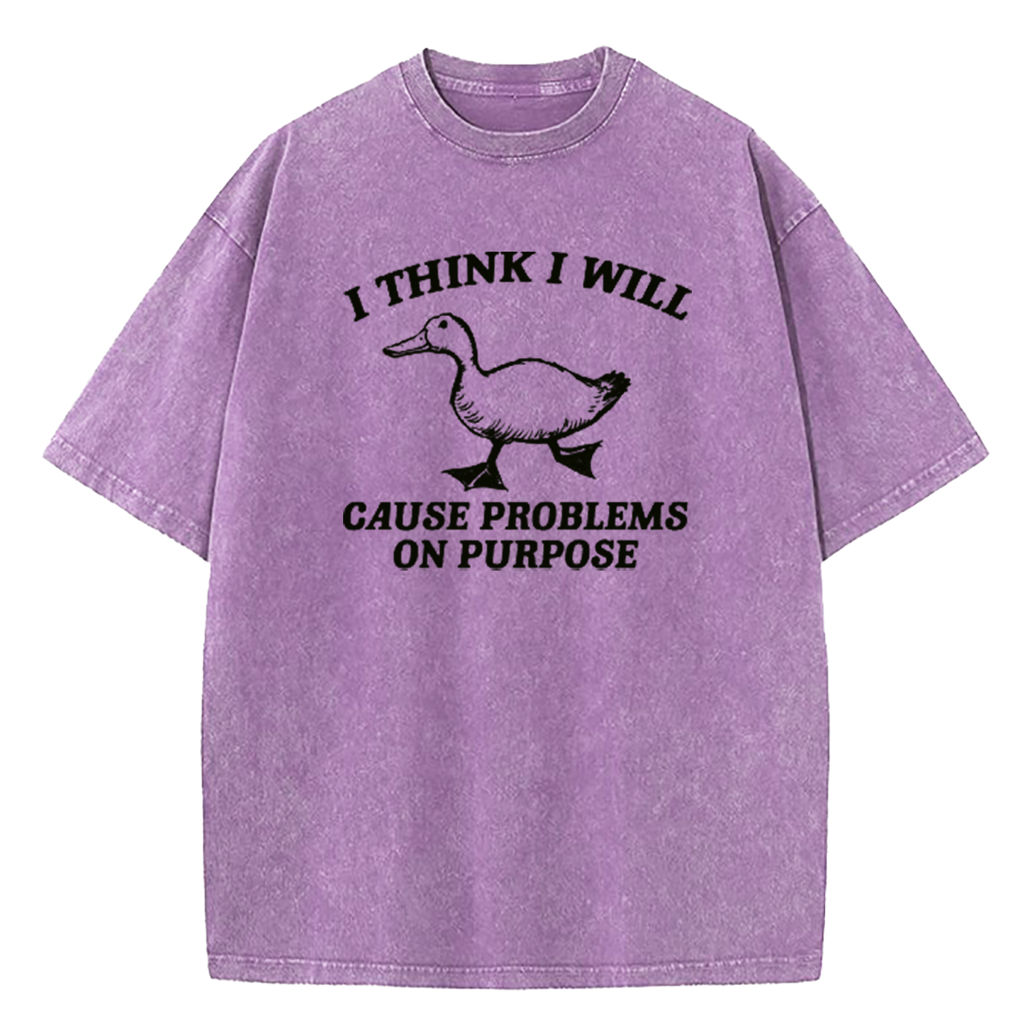 I Think I Will Cause Problems On Purpose Washed T-Shirt