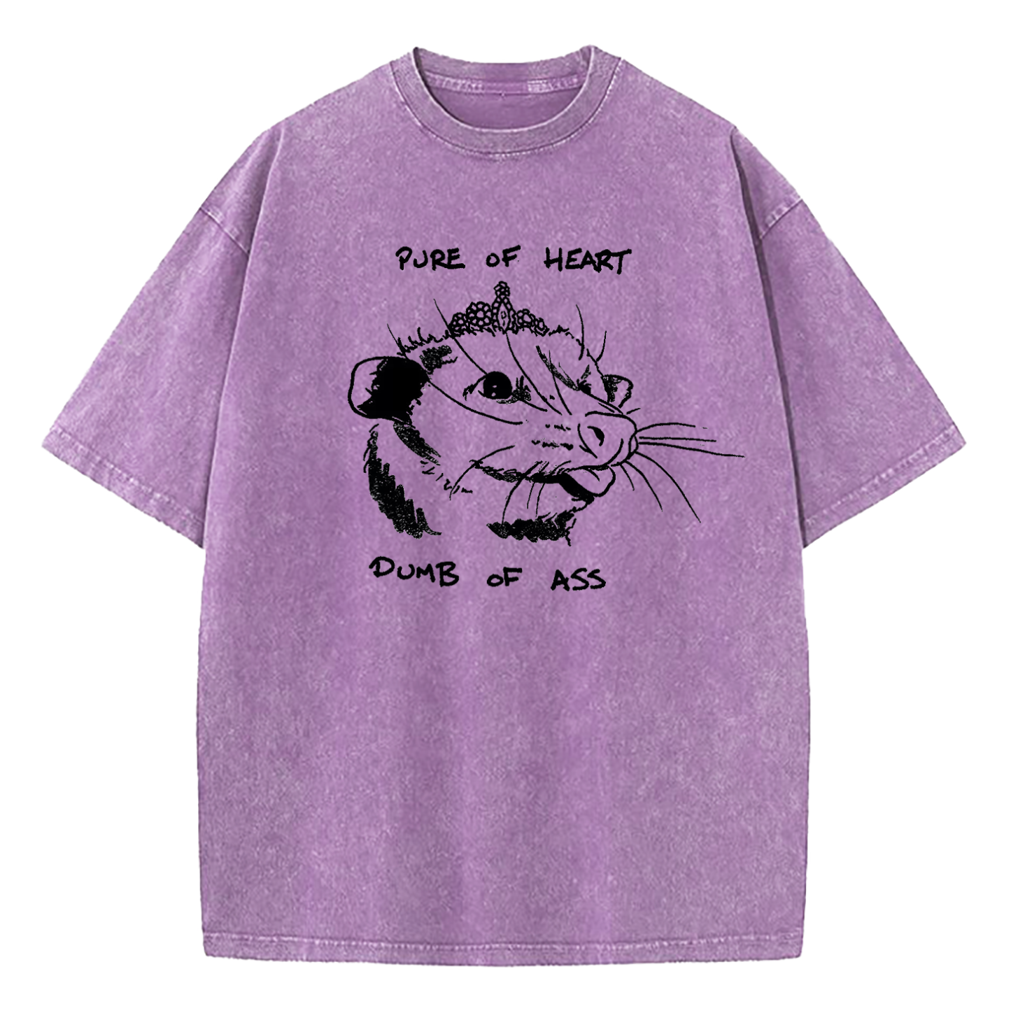 Pure Of Heart Dumb Of Ass Washed T-Shirt