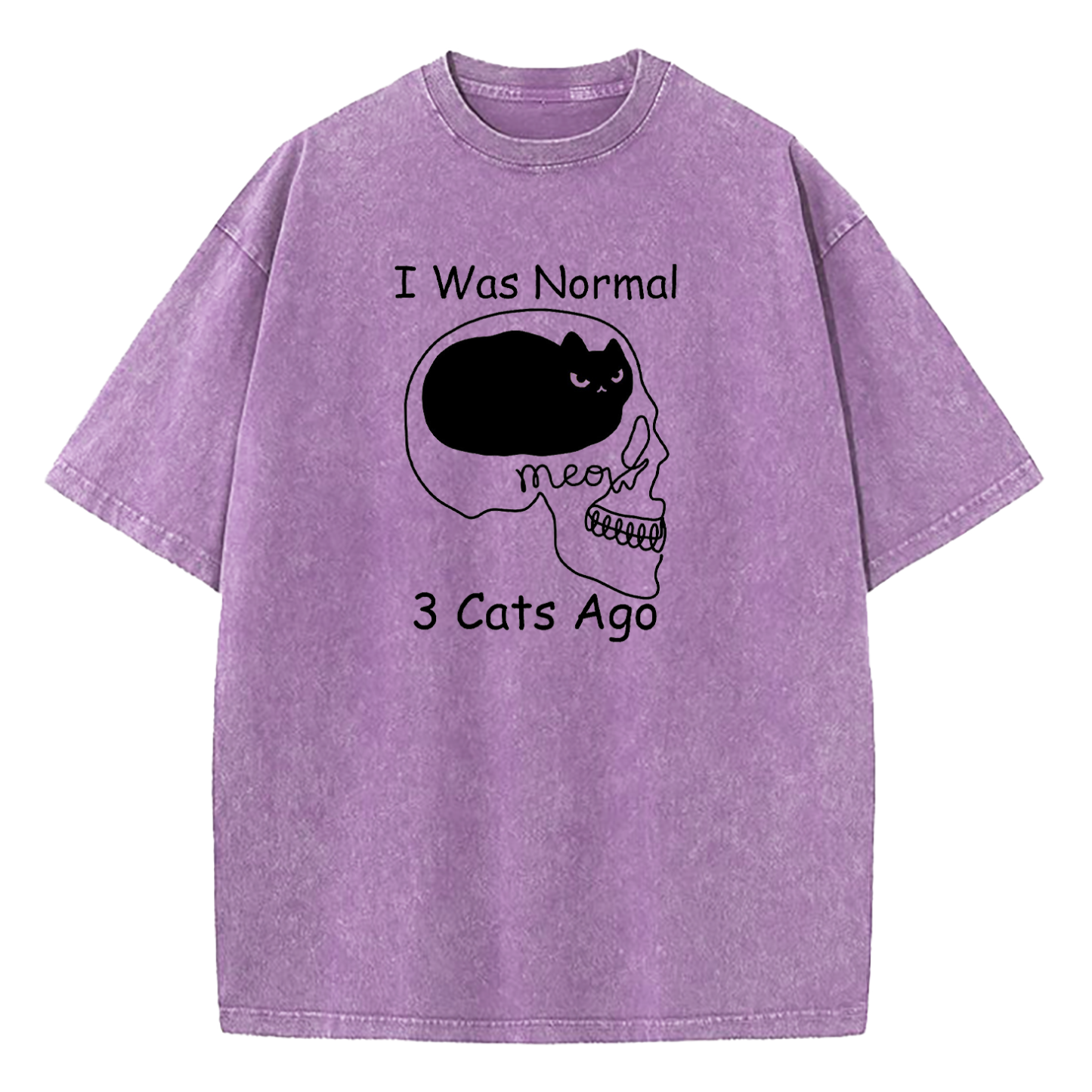 I Was Normal 3 Cats Ago Washed T-Shirt