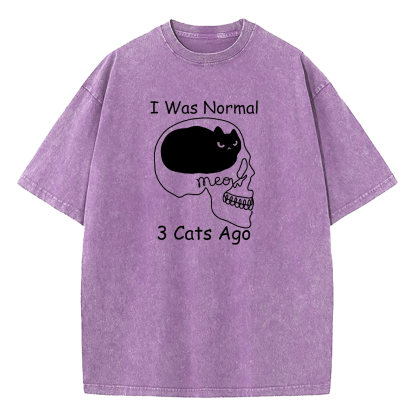I Was Normal 3 Cats Ago Washed T-Shirt