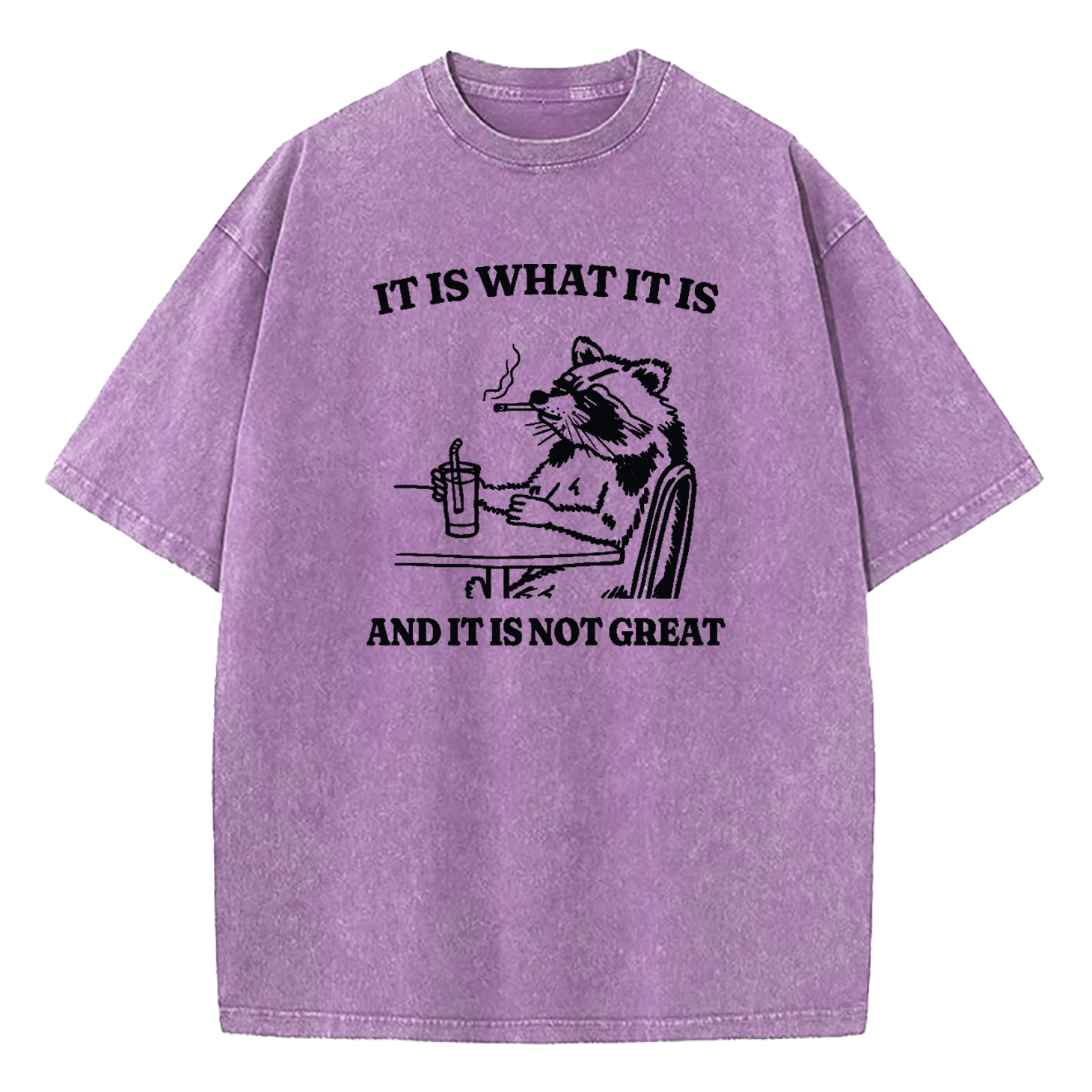 It Is What It Is Funny Washed T-Shirt