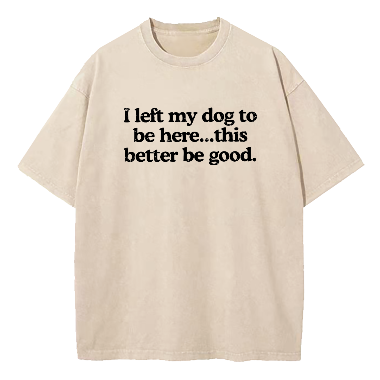 I Left My Dog To Be Here This Better Be Good Washed T-Shirt