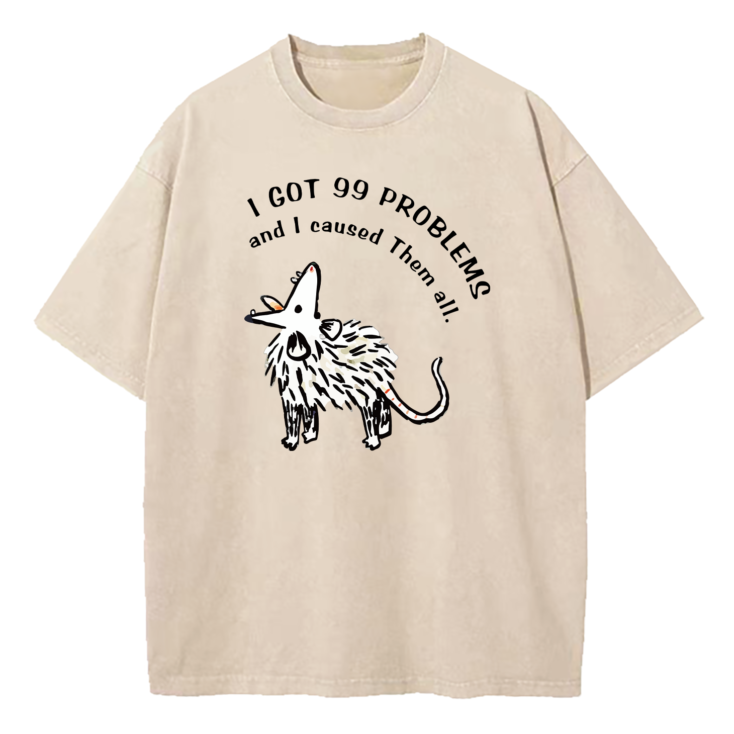 I Got 99 Problems And I Caused Them All Washed T-Shirt