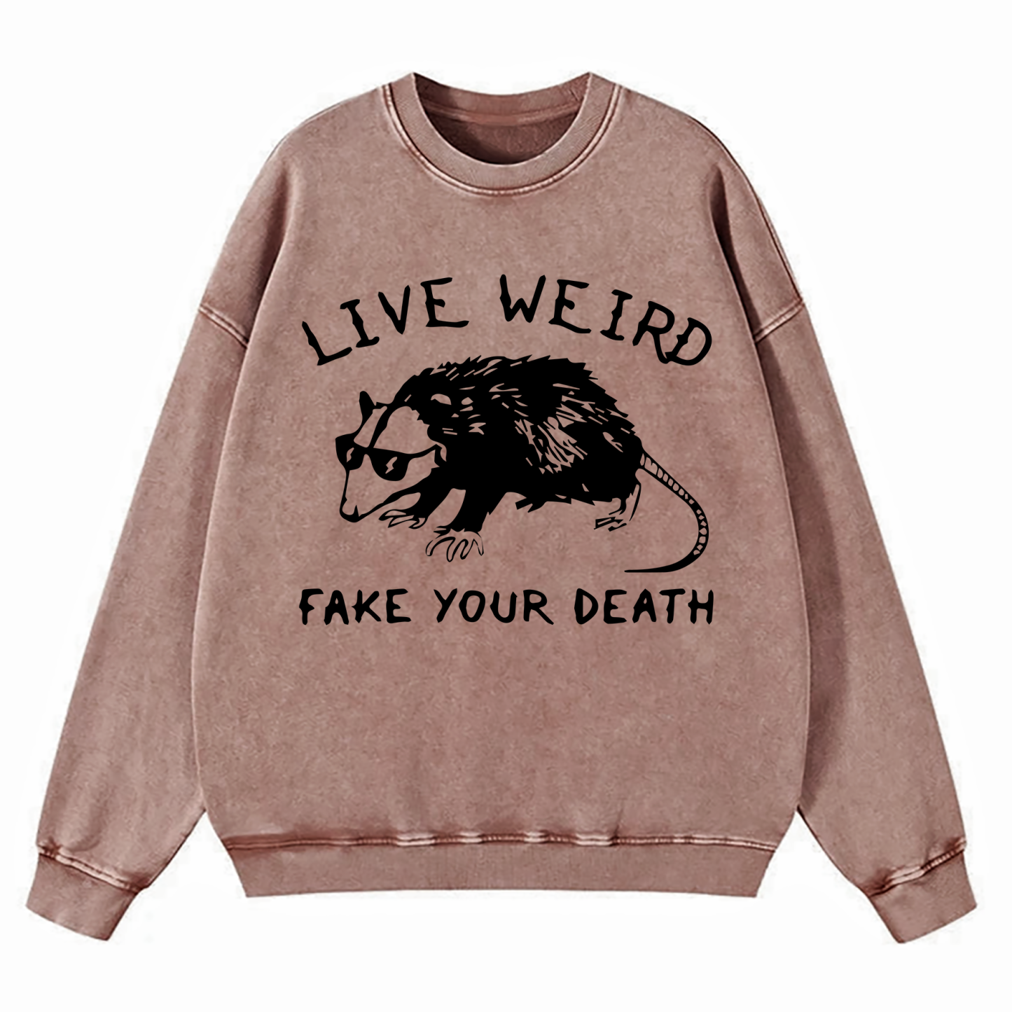 Opossum I Cannot Live Laugh Love In These Conditions Washed Sweatshirt