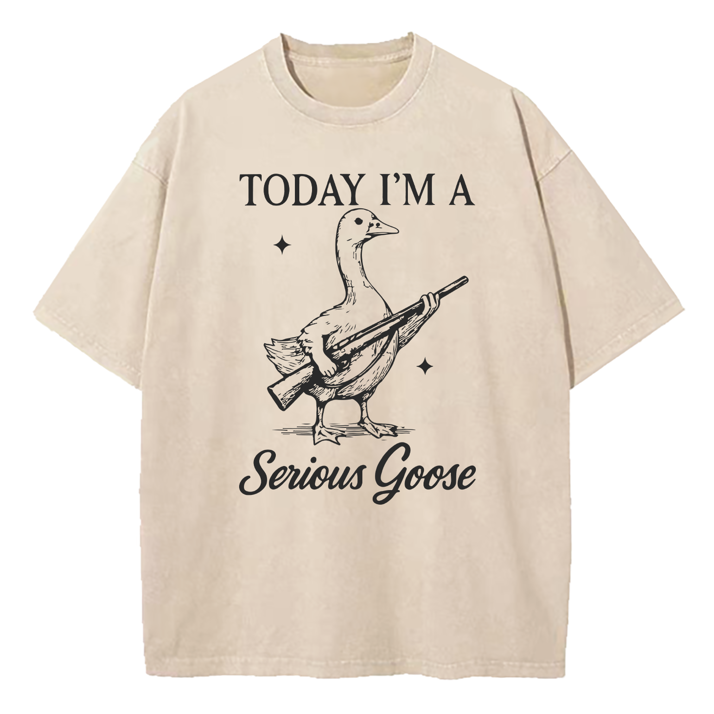 Today I'm A Serious Goose Washed T-Shirt