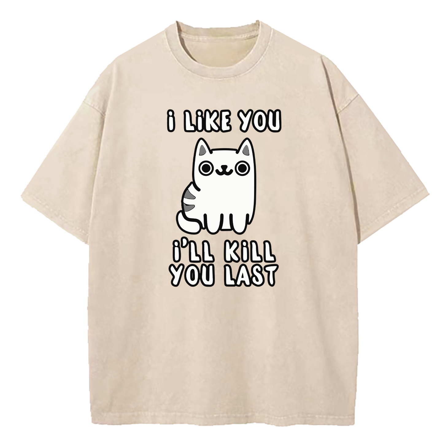 I Like You Ill Kill You Last Washed T-Shirt
