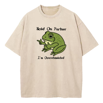 Hold On Partner I'm Overstimulated Washed T-Shirt