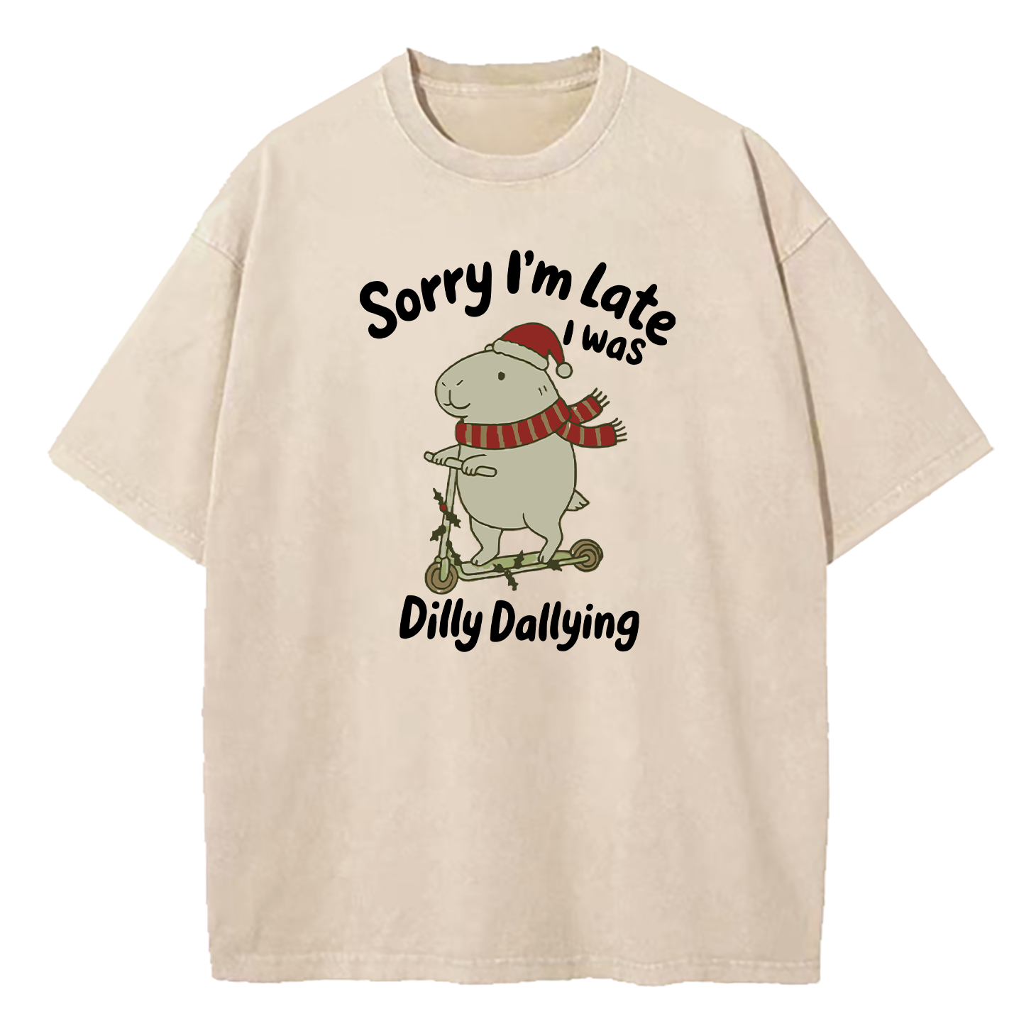 Sorry I'm Late I Was Dilly Dallying Washed T-Shirt