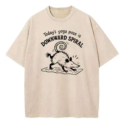 Today's Yoga Pose Is Downward Spiral Washed T-Shirt
