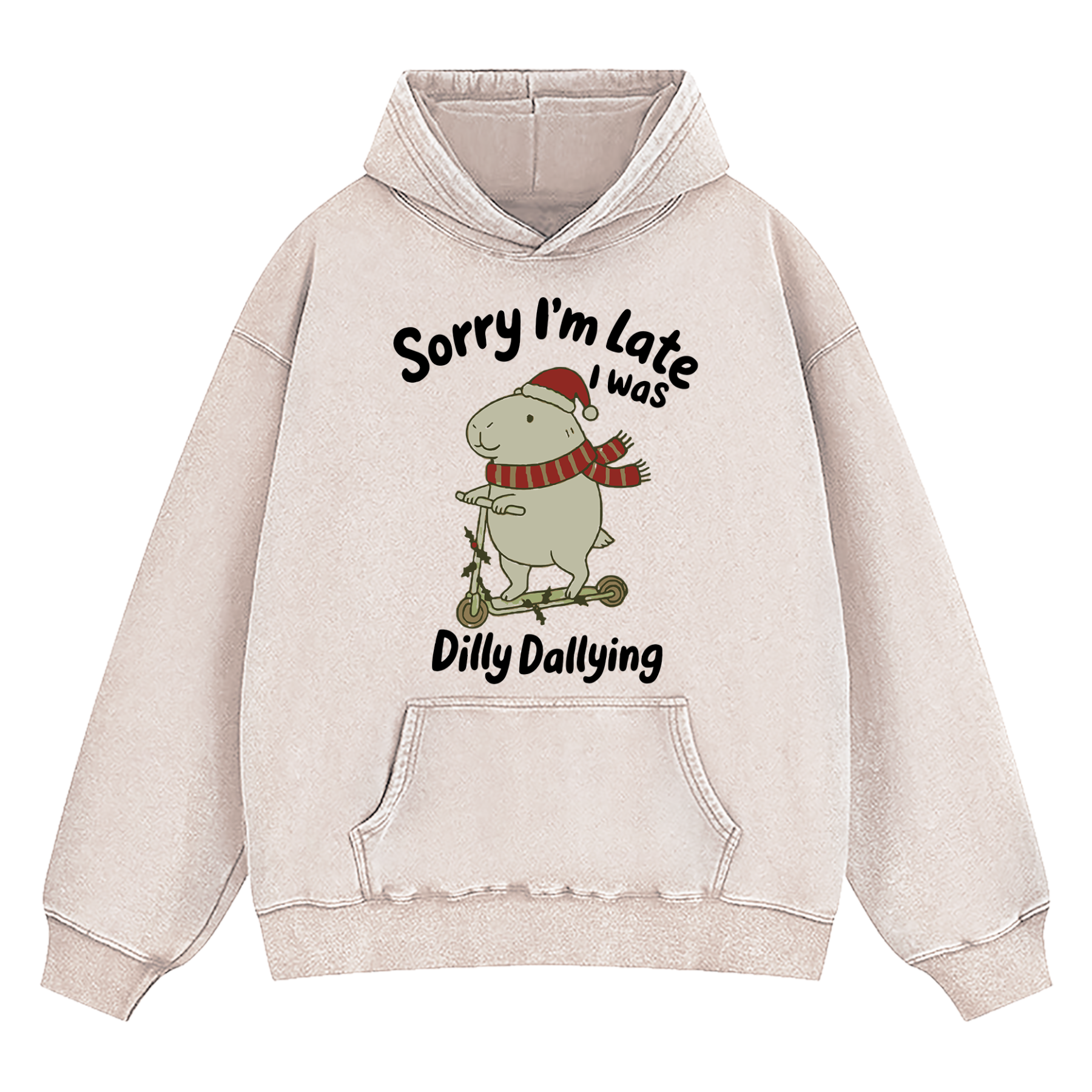 Sorry I'm Late I Was Dilly Dallying d Washed Hoodie