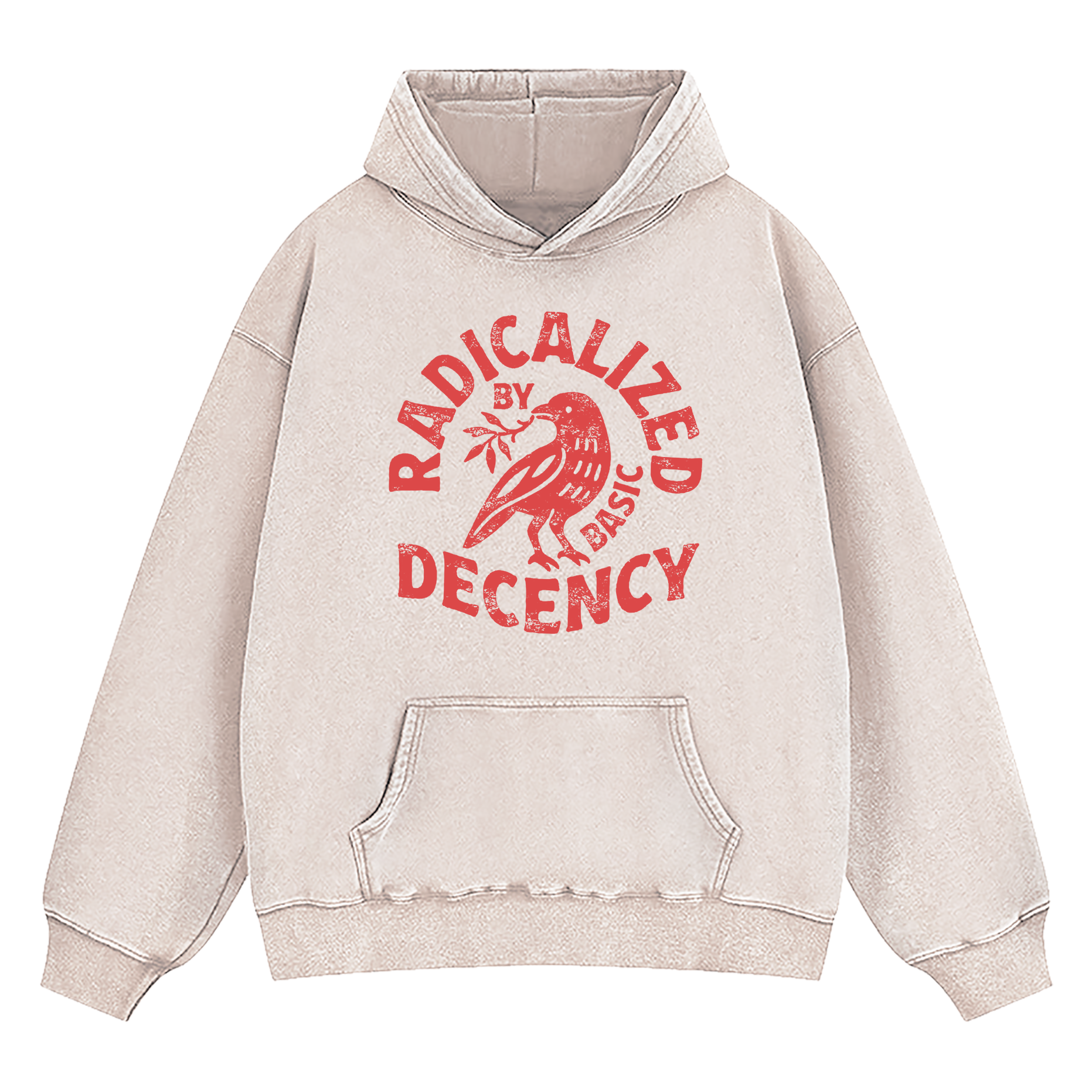 Radicalized By Basic Decency Washed Hoodie