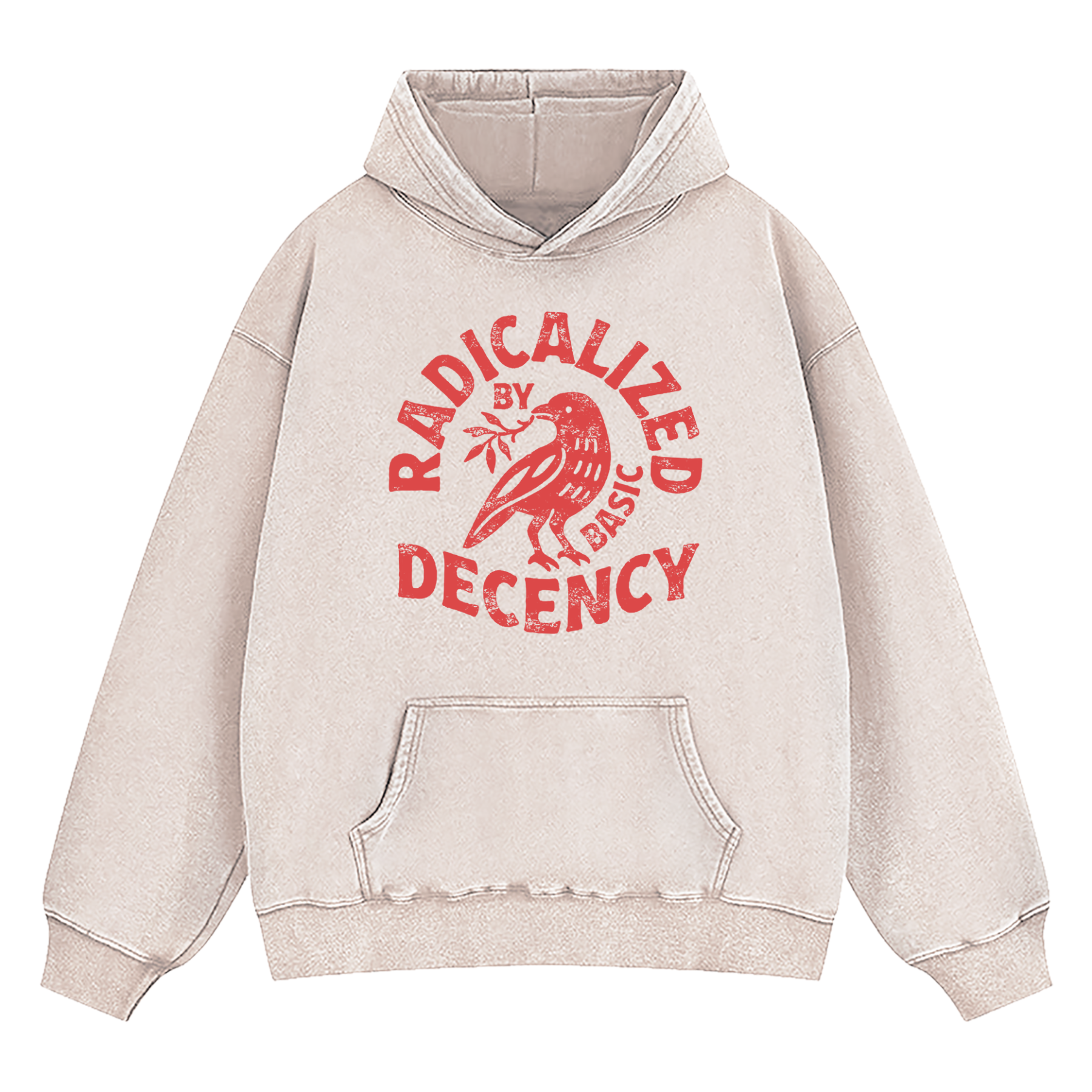 Radicalized By Basic Decency Washed Hoodie