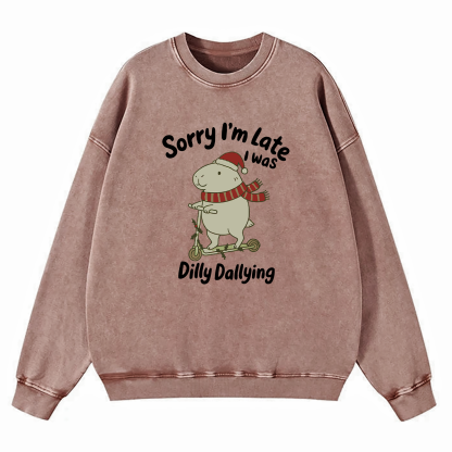 Sorry I'm Late I Was Dilly Dallying Washed Sweatshirt