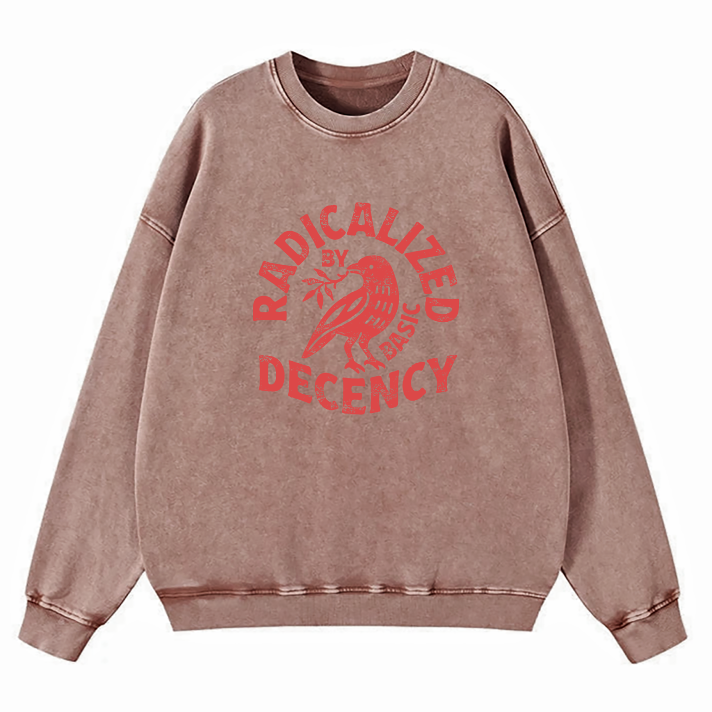 Radicalized By Basic Decency Washed Sweatshirt