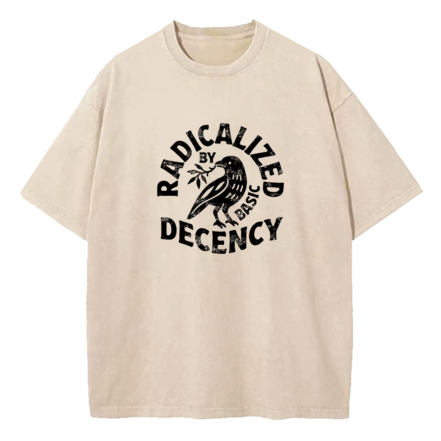 Radicalized By Basic Decency Washed T-Shirt