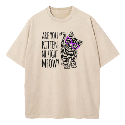 Are You Kitten Me Right Meow Washed T-Shirt