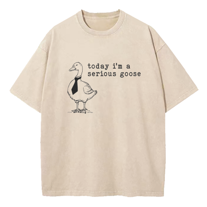 Today I'm A Serious Goose Washed T-Shirt